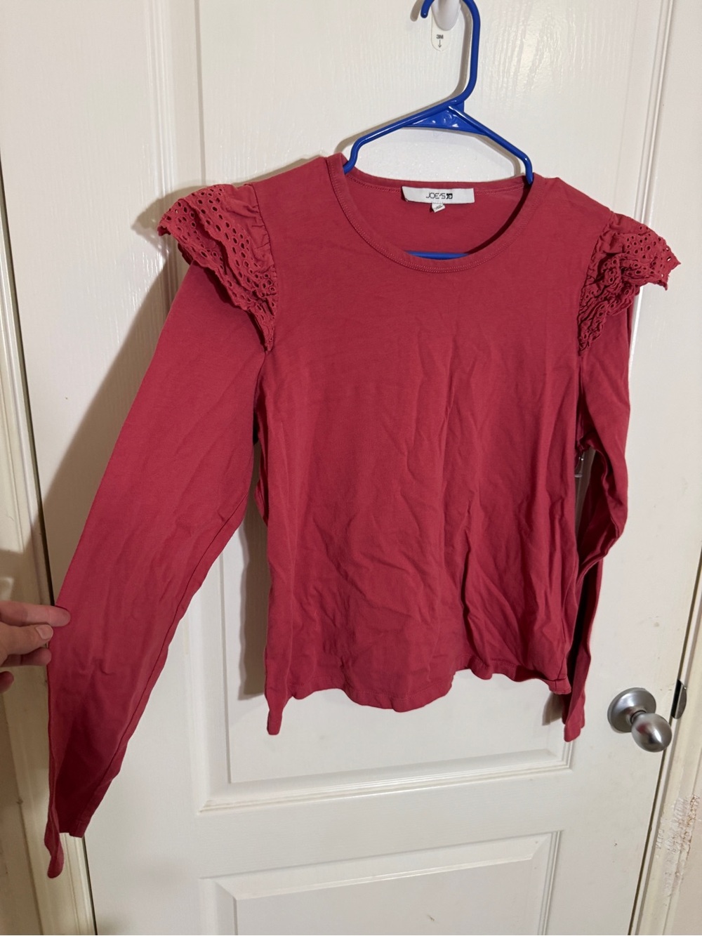 NWOT Joe's Jeans Eyelet Ruffle Long Sleeve Top Slate Rose Cottagecore Large
